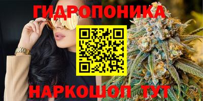 стафф Краснокаменск